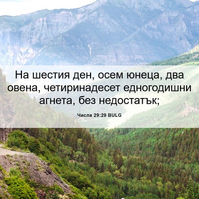 Picture 06 - Числа 29:29 BULG - На шестия ден, осем юнеца, - Bible Verse Picture