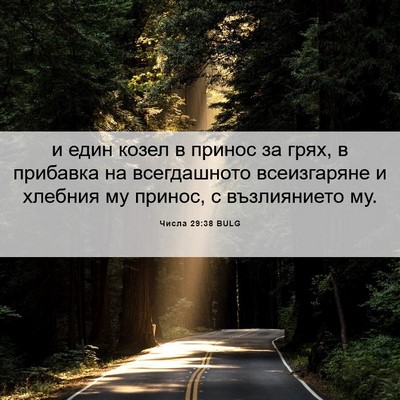 Picture 06 - Числа 29:38 BULG - и един козел в принос за - Bible Verse Picture