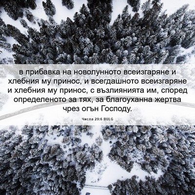 Picture 06 - Числа 29:6 BULG - в прибавка на новолунното - Bible Verse Picture