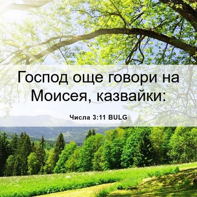 Picture 06 - Числа 3:11 BULG - Господ още говори на - Bible Verse Picture