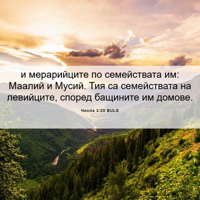 Picture 06 - Числа 3:20 BULG - и мерарийците по - Bible Verse Picture