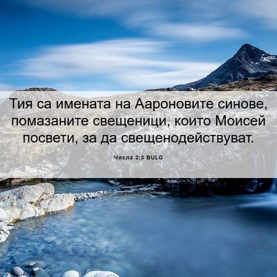 Picture 06 - Числа 3:3 BULG - Тия са имената на - Bible Verse Picture