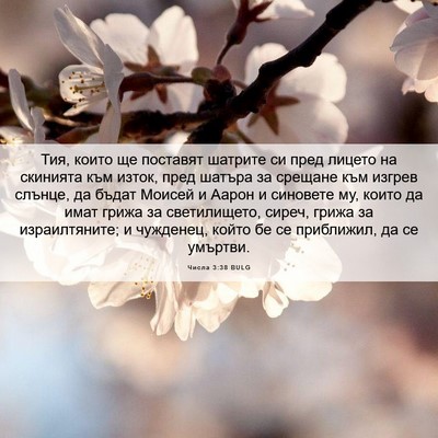 Picture 06 - Числа 3:38 BULG - Тия, които ще поставят - Bible Verse Picture
