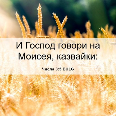 Picture 06 - Числа 3:5 BULG - И Господ говори на Моисея, - Bible Verse Picture