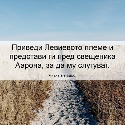 Picture 06 - Числа 3:6 BULG - Приведи Левиевото племе и - Bible Verse Picture