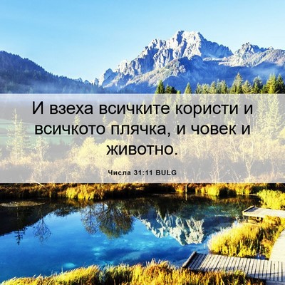 Picture 06 - Числа 31:11 BULG - И взеха всичките користи и - Bible Verse Picture