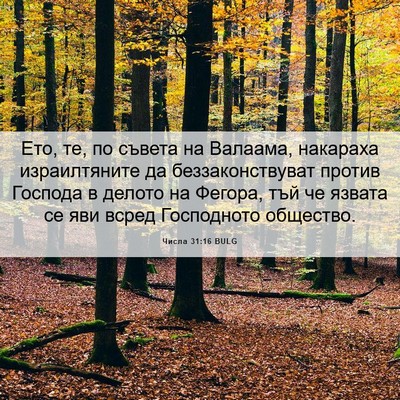 Picture 06 - Числа 31:16 BULG - Ето, те, по съвета на - Bible Verse Picture