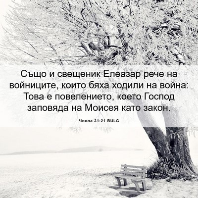 Picture 06 - Числа 31:21 BULG - Също и свещеник Елеазар - Bible Verse Picture