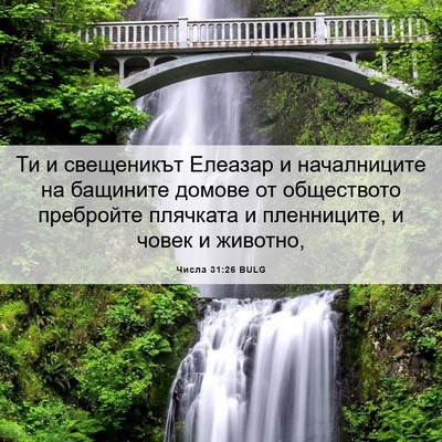 Picture 06 - Числа 31:26 BULG - Ти и свещеникът Елеазар и - Bible Verse Picture