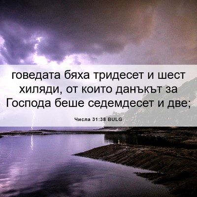 Picture 06 - Числа 31:38 BULG - говедата бяха тридесет и - Bible Verse Picture