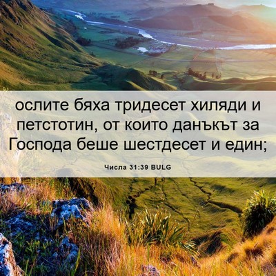 Picture 06 - Числа 31:39 BULG - ослите бяха тридесет - Bible Verse Picture