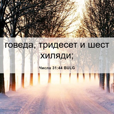 Picture 06 - Числа 31:44 BULG - говеда, тридесет и шест - Bible Verse Picture