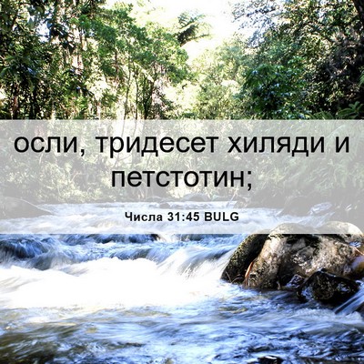 Picture 06 - Числа 31:45 BULG - осли, тридесет хиляди и - Bible Verse Picture