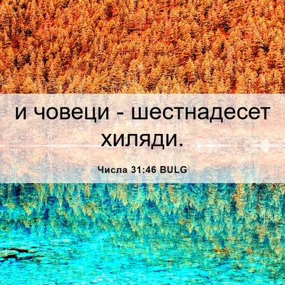 Picture 06 - Числа 31:46 BULG - и човеци - шестнадесет - Bible Verse Picture