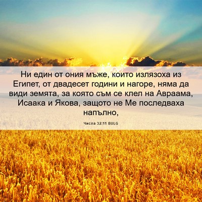 Picture 06 - Числа 32:11 BULG - Ни един от ония мъже, които - Bible Verse Picture