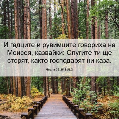Picture 06 - Числа 32:25 BULG - И гадците и рувимците - Bible Verse Picture