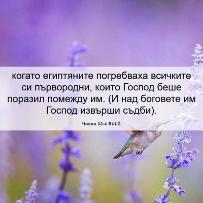 Picture 06 - Числа 33:4 BULG - когато египтяните - Bible Verse Picture