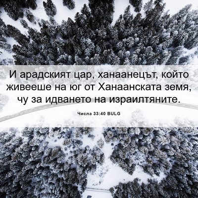 Picture 06 - Числа 33:40 BULG - И арадският цар, - Bible Verse Picture