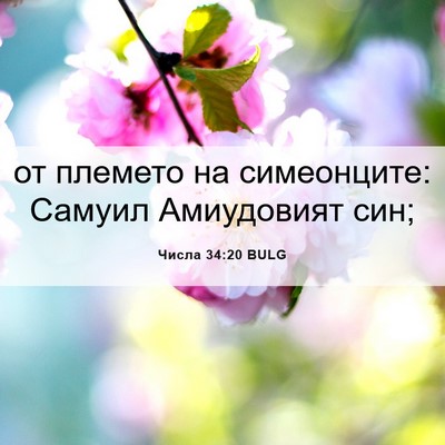 Picture 06 - Числа 34:20 BULG - от племето на симеонците: - Bible Verse Picture