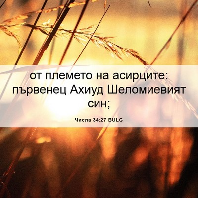 Picture 06 - Числа 34:27 BULG - от племето на асирците: - Bible Verse Picture