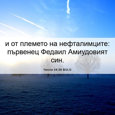 Picture 06 - Числа 34:28 BULG - и от племето на - Bible Verse Picture