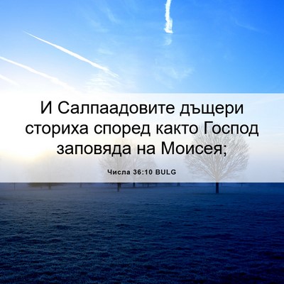 Picture 06 - Числа 36:10 BULG - И Салпаадовите дъщери - Bible Verse Picture