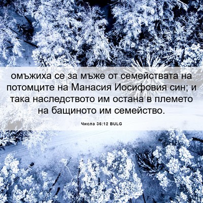 Picture 06 - Числа 36:12 BULG - омъжиха се за мъже от - Bible Verse Picture