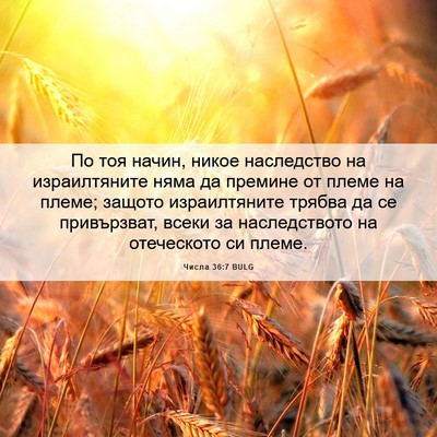 Picture 06 - Числа 36:7 BULG - По тоя начин, никое - Bible Verse Picture