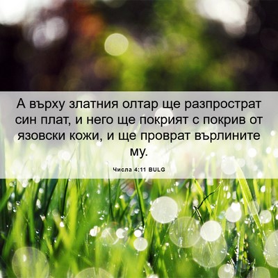 Picture 06 - Числа 4:11 BULG - А върху златния олтар ще - Bible Verse Picture