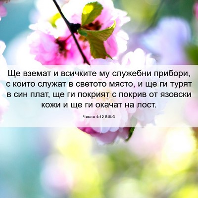 Picture 06 - Числа 4:12 BULG - Ще вземат и всичките му - Bible Verse Picture
