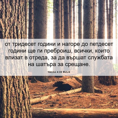 Picture 06 - Числа 4:30 BULG - от тридесет години и - Bible Verse Picture