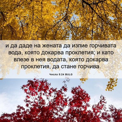 Picture 06 - Числа 5:24 BULG - и да даде на жената да - Bible Verse Picture