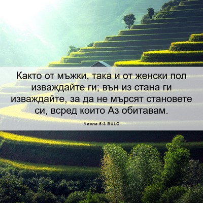 Picture 06 - Числа 5:3 BULG - Както от мъжки, така и от - Bible Verse Picture