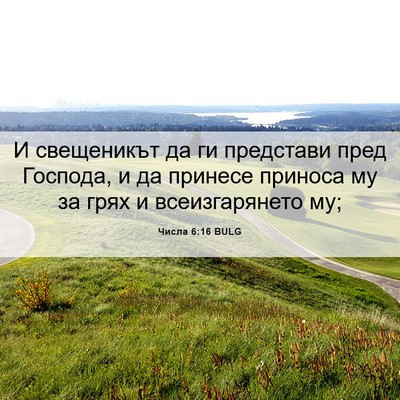 Picture 06 - Числа 6:16 BULG - И свещеникът да ги - Bible Verse Picture