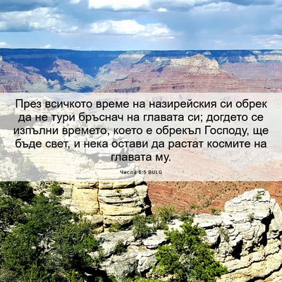 Picture 06 - Числа 6:5 BULG - През всичкото време на - Bible Verse Picture