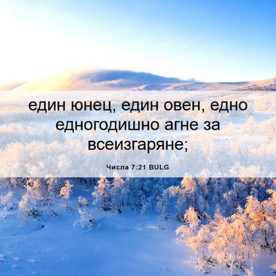 Picture 06 - Числа 7:21 BULG - един юнец, един овен, едно - Bible Verse Picture