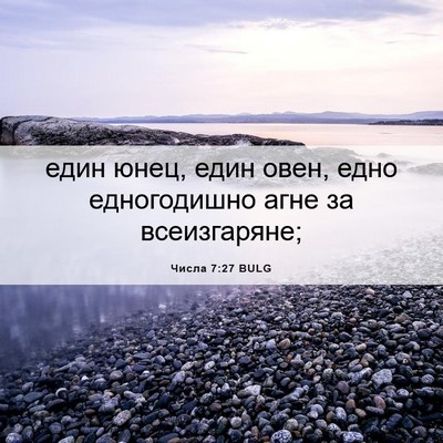 Picture 06 - Числа 7:27 BULG - един юнец, един овен, едно - Bible Verse Picture