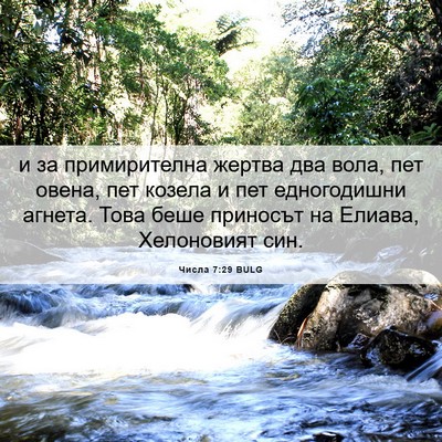Picture 06 - Числа 7:29 BULG - и за примирителна жертва - Bible Verse Picture