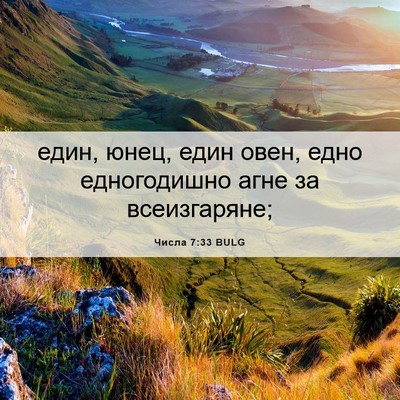 Picture 06 - Числа 7:33 BULG - един, юнец, един овен, едно - Bible Verse Picture