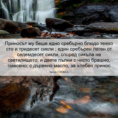 Picture 06 - Числа 7:37 BULG - Приносът му беше едно - Bible Verse Picture