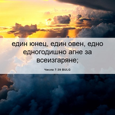 Picture 06 - Числа 7:39 BULG - един юнец, един овен, едно - Bible Verse Picture