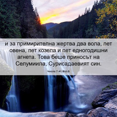 Picture 06 - Числа 7:41 BULG - и за примирителна жертва - Bible Verse Picture