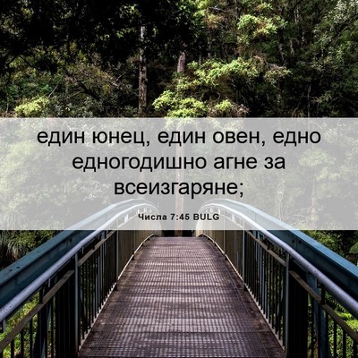 Picture 06 - Числа 7:45 BULG - един юнец, един овен, едно - Bible Verse Picture