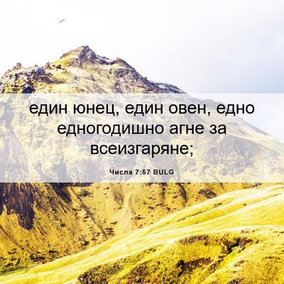 Picture 06 - Числа 7:57 BULG - един юнец, един овен, едно - Bible Verse Picture