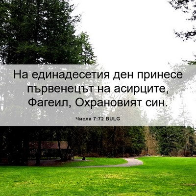 Picture 06 - Числа 7:72 BULG - На единадесетия ден - Bible Verse Picture