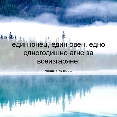 Picture 06 - Числа 7:75 BULG - един юнец, един овен, едно - Bible Verse Picture