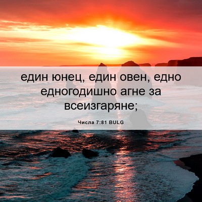 Picture 06 - Числа 7:81 BULG - един юнец, един овен, едно - Bible Verse Picture
