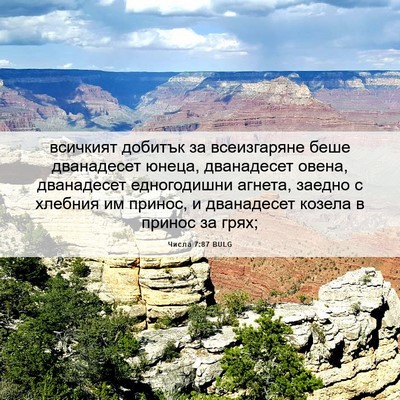 Picture 06 - Числа 7:87 BULG - всичкият добитък за - Bible Verse Picture