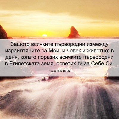 Picture 06 - Числа 8:17 BULG - Защото всичките - Bible Verse Picture