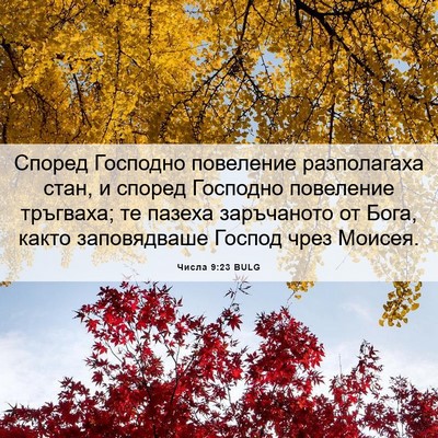 Picture 06 - Числа 9:23 BULG - Според Господно повеление - Bible Verse Picture